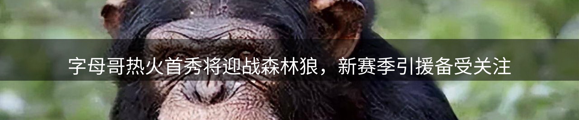 热点资讯