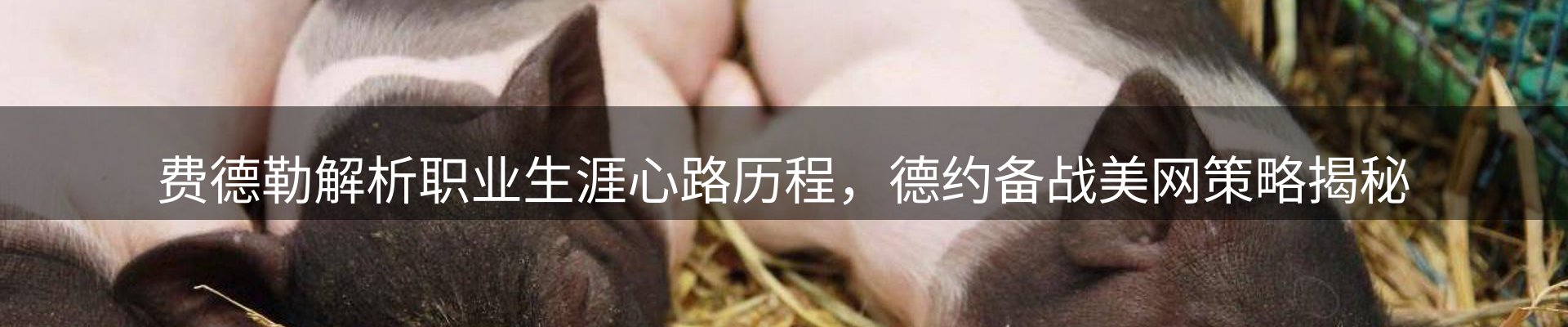 平台视点