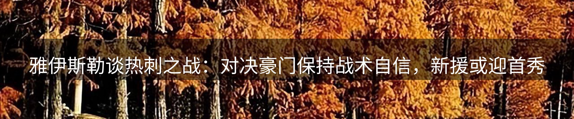 平台视点